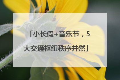 小长假+音乐节，5大交通枢纽秩序井然