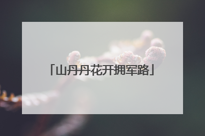 山丹丹花开拥军路