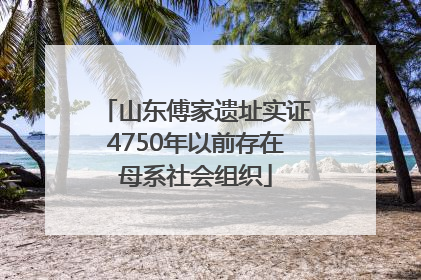 山东傅家遗址实证4750年以前存在母系社会组织