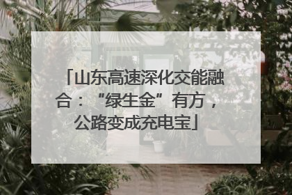 山东高速深化交能融合：“绿生金”有方，公路变成充电宝