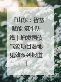 山东：智慧赋能 筑牢防线｜增发国债气象项目落地见效系列报道