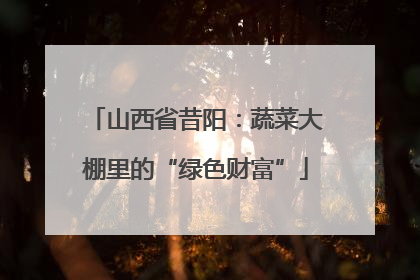 山西省昔阳：蔬菜大棚里的“绿色财富”