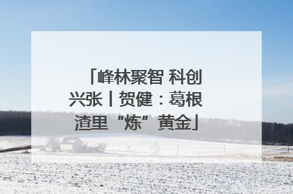 峰林聚智 科创兴张丨贺健：葛根渣里“炼”黄金