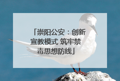 崇阳公安：创新宣教模式 筑牢禁毒思想防线