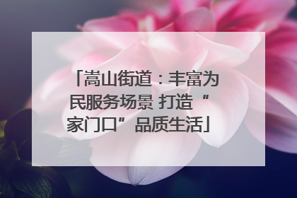 嵩山街道：丰富为民服务场景 打造“家门口”品质生活