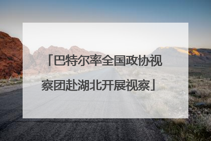 巴特尔率全国政协视察团赴湖北开展视察