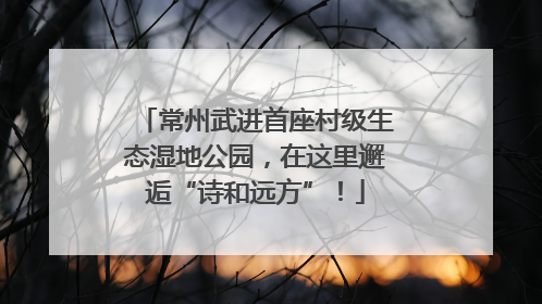 常州武进首座村级生态湿地公园，在这里邂逅“诗和远方”！