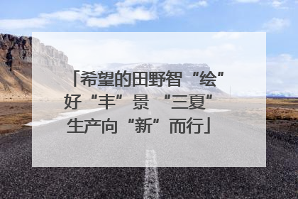 希望的田野智“绘”好“丰”景 “三夏”生产向“新”而行