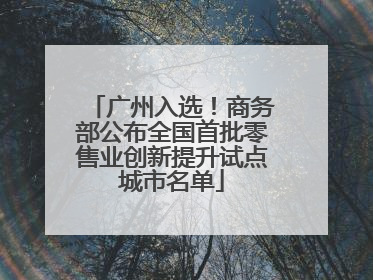 广州入选！商务部公布全国首批零售业创新提升试点城市名单