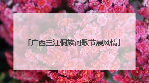 广西三江侗族河歌节展风情