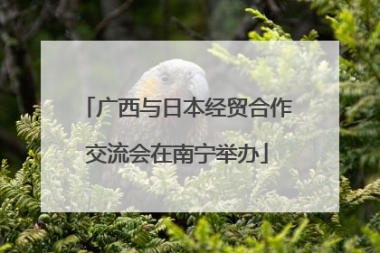 广西与日本经贸合作交流会在南宁举办