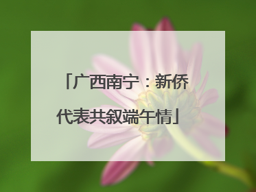 广西南宁：新侨代表共叙端午情