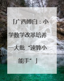 广西博白：小学数学改革培养一大批“速算小能手”
