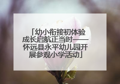 幼小衔接初体验 成长启航正当时——怀远县永平幼儿园开展参观小学活动
