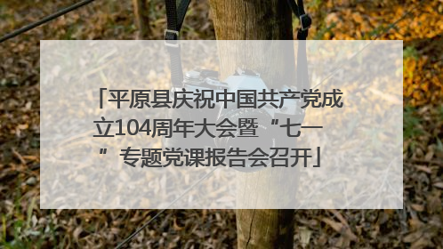 平原县庆祝中国共产党成立104周年大会暨“七一”专题党课报告会召开