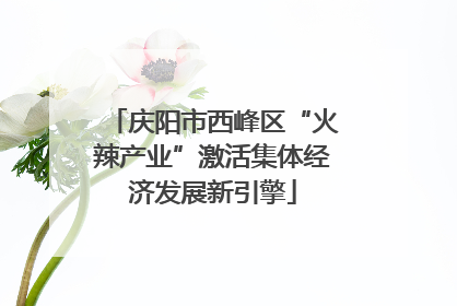 庆阳市西峰区“火辣产业”激活集体经济发展新引擎
