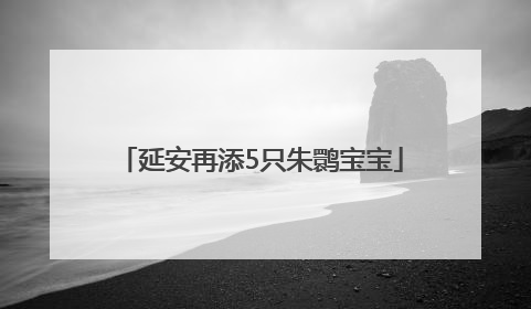 延安再添5只朱鹮宝宝