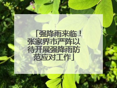 强降雨来临！张家界市严阵以待开展强降雨防范应对工作