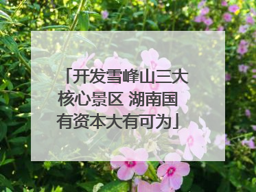 开发雪峰山三大核心景区 湖南国有资本大有可为
