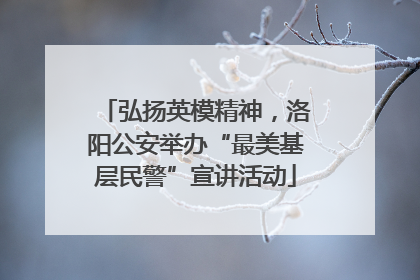 弘扬英模精神，洛阳公安举办“最美基层民警”宣讲活动