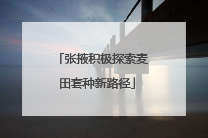 张掖积极探索麦田套种新路径