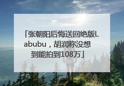 张朝阳后悔送回绝版Labubu，胡润称没想到能拍到108万