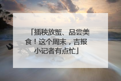 插秧放蟹、品尝美食！这个周末，吉报小记者有点忙