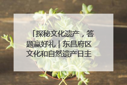 探秘文化遗产，答题赢好礼｜东昌府区文化和自然遗产日主题活动来袭！