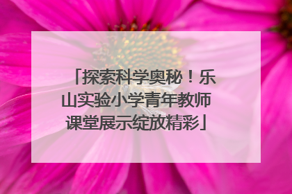 探索科学奥秘！乐山实验小学青年教师课堂展示绽放精彩