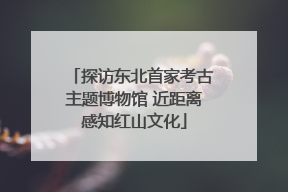 探访东北首家考古主题博物馆 近距离感知红山文化