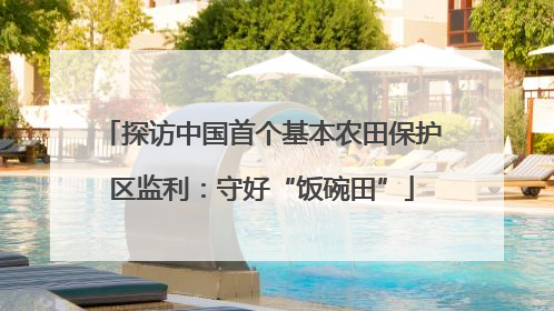 探访中国首个基本农田保护区监利：守好“饭碗田”