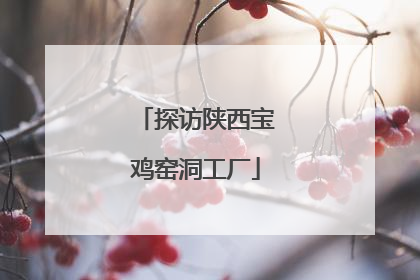 探访陕西宝鸡窑洞工厂