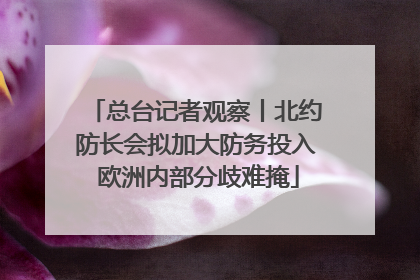 总台记者观察丨北约防长会拟加大防务投入 欧洲内部分歧难掩