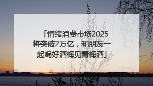 情绪消费市场2025将突破2万亿，和朋友一起喝好酒梅见青梅酒
