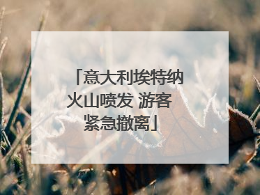 意大利埃特纳火山喷发 游客紧急撤离