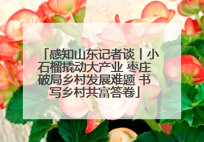 感知山东记者谈丨小石榴撬动大产业 枣庄破局乡村发展难题 书写乡村共富答卷