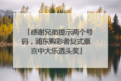 感谢兄弟提示两个号码，浦东购彩者复式票喜中大乐透头奖
