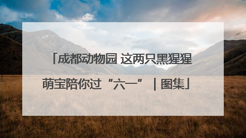 成都动物园 这两只黑猩猩萌宝陪你过“六一”｜图集