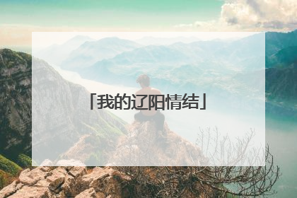 我的辽阳情结