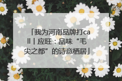 我为河南品牌打call丨应旺：品味“毛尖之都”的诗意栖居