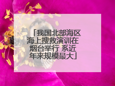 我国北部海区海上搜救演训在烟台举行 系近年来规模最大