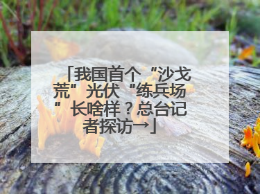 我国首个“沙戈荒”光伏“练兵场”长啥样？总台记者探访→