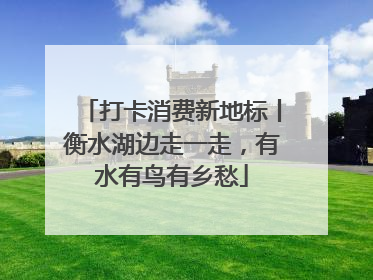 打卡消费新地标丨衡水湖边走一走，有水有鸟有乡愁