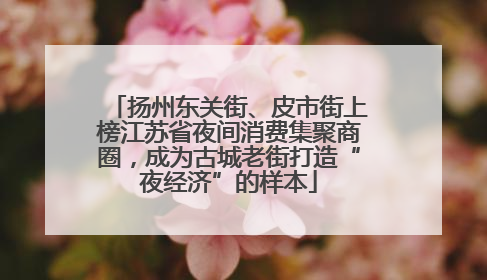 扬州东关街、皮市街上榜江苏省夜间消费集聚商圈，成为古城老街打造“夜经济”的样本