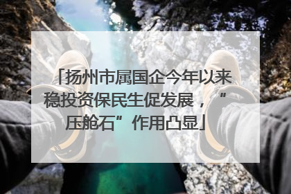 扬州市属国企今年以来稳投资保民生促发展，“压舱石”作用凸显
