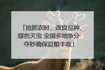 抢抓农时、改良品种、绿色灭虫 全国多地争分夺秒确保夏粮丰收