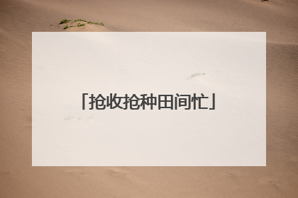 抢收抢种田间忙