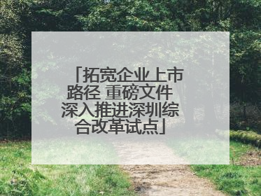 拓宽企业上市路径 重磅文件深入推进深圳综合改革试点