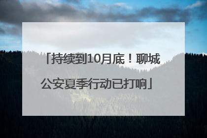 持续到10月底！聊城公安夏季行动已打响