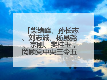 柴绪峰、孙长志、刘志诚、杨昆尧、宗刚、樊桂玉，罔顾党中央三令五申，不知敬畏、我行我素、肆意妄为！